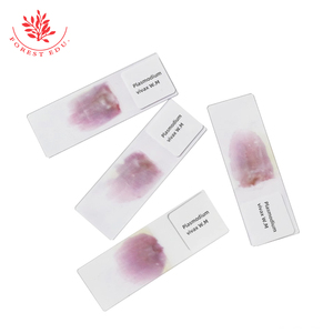 Слайды для микроскопа Plasmodium <span class=keywords><strong>Vivax</strong></span>, медицинская наука, паразитология, подготовленные слайды для микроскопа - Product Image 6