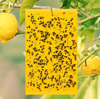 Planche collante double face pour attirer les insectes Planche collante pour les thrips Jardins de thé Serres potagères et vergers