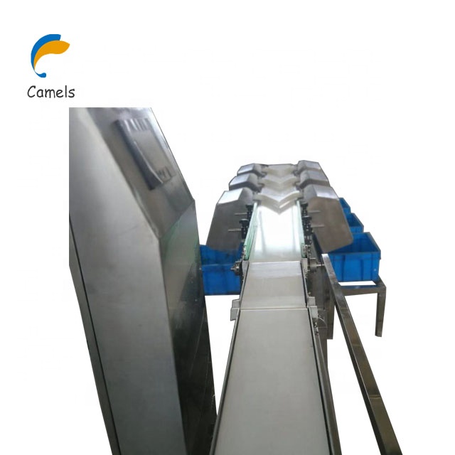 Машина для сортировки веса морепродуктов, сортировщик веса трав, машина для сортировки веса рыбы