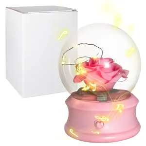 Kotak musik lucu lampu Led, hadiah Hari Valentine Natal bunga sabun mawar diawetkan dalam kaca kubah hadiah untuk ibu wanita