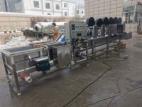 Fruit En Groente Reiniger Machine Tomaat Fruit Wasmachine