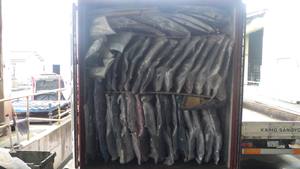 Accessoires automobiles et pièces, exportation du japon, pièces - Product Image 4