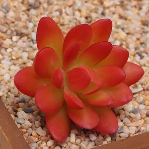Plantas <span class=keywords><strong>Suculentas</strong></span> Artificiales Surtidas para Decoración, Populares en 2026, Venta al por Mayor, Látex Plástico Artificial, 12 Piezas/Diseño - Product Image 1