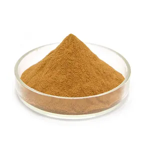 High quality Natural burdock root extract powder 10% 20% 40% arctiin