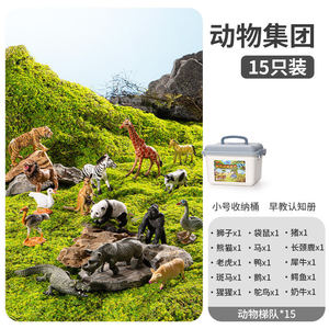 Ensemble de modèles d'animaux sauvages pour enfants, jouet éducatif pour bébés, <span class=keywords><strong>monde</strong></span> animalier masculin et féminin avec boîte de rangement - Product Image 6