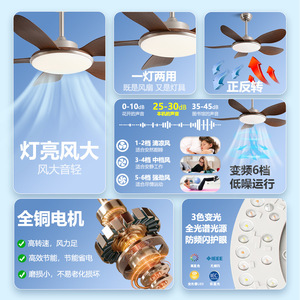 <b>Ceiling</b> Fan <b>Light</b> With Led <b>Light</b> Fixed Blade Fan For Living Room And Dining Room Silent Smart Inverter <b>Remote</b> <b>Control</b> - Product Image 1