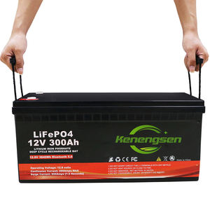 Op maat gemaakte LiFePo4 batterij 12V 24V 48V 100Ah 200Ah 300Ah 400Ah Lithium-ion zonnebatterij opslagsystemen - Product Image 4