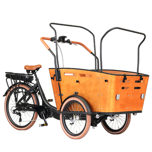 Tricycle électrique à trois roues pour adulte, batterie de 36v, moteur à entraînement central dans le pédalier - Product Image 2
