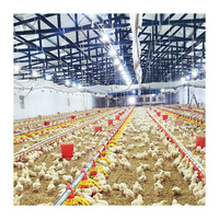 Équipement d'élevage de poulets de chair pour ferme avec prix