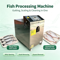 Machine automatique de nettoyage de poisson, machine à écailler et à éviscérer le poisson, équipement pour ouvrir le ventre et retirer les viscères, équipement de préparation du poisson