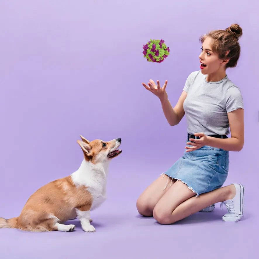 ペット用品犬の噛むおもちゃ耐久性のある歯のクリーニング噛むボール子犬犬のための噛むおもちゃ新しい