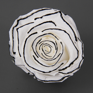 Fleurs Éternelles USA : Têtes de Roses Préservées Style Chansons, Qualité Supérieure pour Événements Spéciaux - Product Image 1