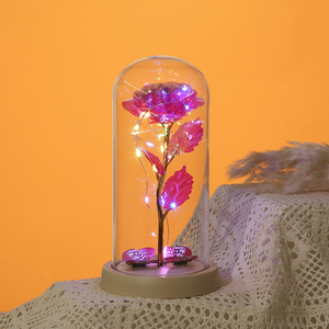 La belle et la bête Rose dans un dôme en verre papillon cadeaux pour la fête des mères Light Up Rose éternelle - Product Image 4
