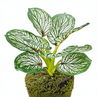Tanaman Canna Lily Daun Buatan 3D Dicetak, Tanaman Pot Simulasi Tinggi untuk Dekorasi Rumah