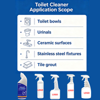 Nettoyant WC en spray OEM ODM haute performance, action rapide, éliminateur de taches d'urine et de calcaire pour eaux dures 500ml