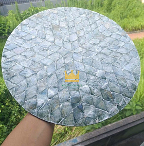 Plato de Presentación Moderno y Ecológico con Incrustaciones de Nácar de Madreperla de Alta Calidad de Vietnam, Mantel Individual Hecho a Mano para Mesas de Comedor Elegantes - Product Image 5