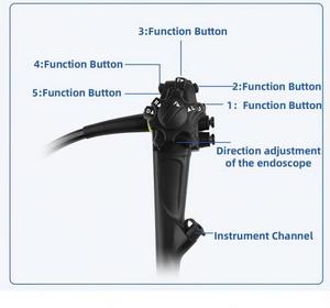 Dawei Hayvan Hastanesi Yüksek Çözünürlüklü Görüntülü Esnek <span class=keywords><strong>Video</strong></span> Gastroskop Kolonoskop Endoskopik Kule Sistemleri - Product Image 3