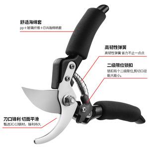 Stainless Steel Pruning <b>Shears</b> 20-30 Mm Bypass Garden <b>Tool</b> For Thick Branches And Bonsai Triming - Product Image 4