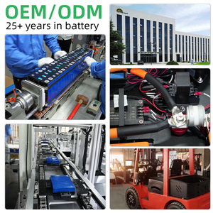 Lishen Fast delivery Lithium Battery 3 ton 5 ton Forklift Toyota Forklift Electric Forklift Hydraulic Fork Lift Truck - Product Image 6