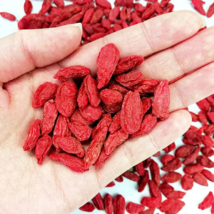 Toptan Sülfürsüz Kurutulmuş <span class=keywords><strong>Goji</strong></span> Meyveleri 2025 Hasadı <span class=keywords><strong>Ningxia</strong></span> Çin'den 500g Gıda Sınıfı - Product Image 3