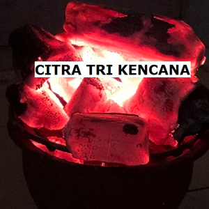 TOP SELLER IN INDIA 100% APPLE FRUIT CHARCOAL, BBQ CHARCOAL FOR APRIL 2020 IN Ranchi INDIA CALL NOW! - Product Image 1