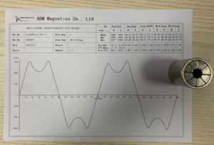 Magnete Halbach in Neodimio N52 per Anelli Motore, Vendita all'Ingrosso - Product Image 5