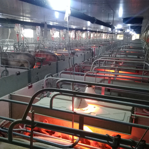 Caisses de mise bas PH PH-F1824 - Utilisation porcine - Fil d'acier à faible teneur en carbone Q235 - Durée de vie de 20 à 25 ans - Product Image 3