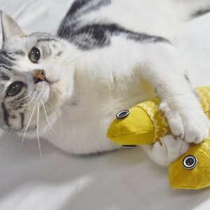 Juguete para Gatos, Juguete Masticable Amarillo con Catnip para Gatitos, para la Dentición y el Aburrimiento, Tamaño Mediano, Juguetes Masticables para Mascotas - Product Image 1