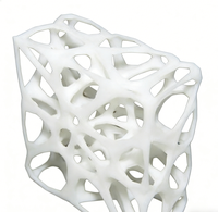 Services de prototypage rapide en nylon SLS, usinage micro personnalisé OEM, moulage, tolérances de haute précision, faible MOQ, impression 3D