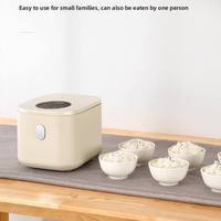 Mini-cuiseur à riz intelligent portable, cuve électrique avec séparation du sucre, boîtier en plastique multifonctionnel, pour 2-3 personnes