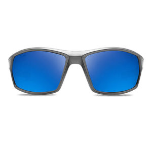 2025 nouveauté rétro populaire bleu carré lunettes de soleil UV400 polarisé TAC lentilles PC cadre corée Style unisexe à la mode adultes - Product Image 4