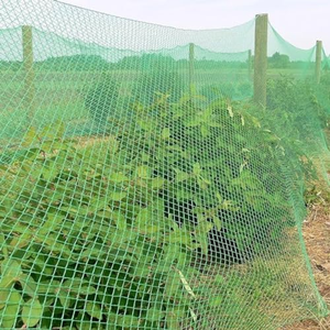 उच्च घनत्व वाले पॉलीइथिलीन विरोधी पक्षी जाल ठोस एचडीपे पक्षी नियंत्रण जाल ठोस हेपपी पक्षी नियंत्रण जाल - Product Image 6