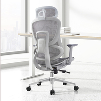 Chaise de bureau ergonomique confortable et réglable en maille avec accoudoirs 3D coulissants, idéale pour le bureau et le télétravail