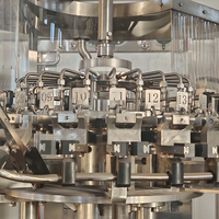 Machine monobloc de soufflage, de remplissage et de scellage pour bouteilles en plastique/PET |   Soufflage, rinçage, remplissage et bouchage intégrés