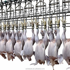 Machine de traitement du poulet en acier inoxydable 304 |   80 oiseaux/heure |   Grandes abattoirs |   Certifié CE - Product Image 2