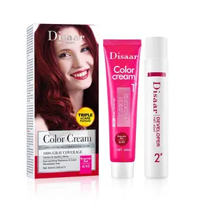 Disaar Factory Haarfarben produkte Beliebte 8-Farben-Haarfarbe Creme Haar färbemittel Farbe für Salon