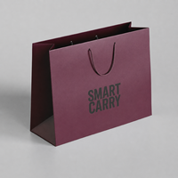 Custom Luxury Paper Gift Bags with Logo Rope Handles for Boutique Clothing Retail Packaging