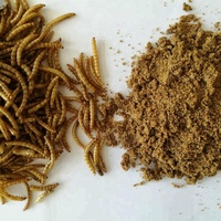 Poudre de ver de farine à haute teneur en protéines pour l'alimentation des chiens et des poissons et additifs alimentaires pour animaux de compagnie pour les soins des chiens et des chevaux