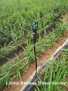 Di plastica tubo piatto <span class=keywords><strong>per</strong></span> farm <span class=keywords><strong>irrigazione</strong></span> a goccia, 4 millimetri Tubo in PE <span class=keywords><strong>per</strong></span> L'<span class=keywords><strong>irrigazione</strong></span> del Giardino, tubo Flessibile - Product Image 5