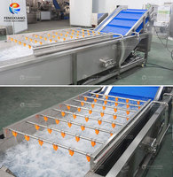 FENGXIANG Mango Bellenwasmachine en -pulpmachine set 1-5 TPH SUS304 voor grote sapfabrieken, maatwerk ontwerp mogelijk