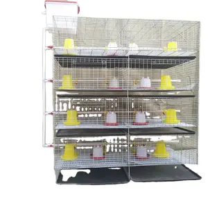 Cage à volailles agricole type H 3 étages 90-200 oiseaux/un ensemble petite cage à poulets pour bébés