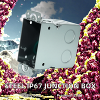 Boîtier de jonction pour instruments électroniques, protection IP67, modèle EB591, traitement de surface en acier galvanisé
