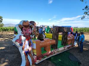 <span class=keywords><strong>Taureau</strong></span> mécanique gonflable de rodéo, taille personnalisée, pour usine et événements - Product Image 6