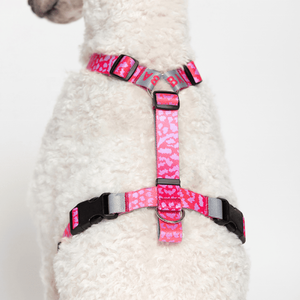 Seguridad tirando personalizado tipo H perro chaleco Correa conjunto fabricante al por mayor diseñador ligero personalizado arnés para mascotas - Product Image 4