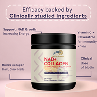 BOCHO Chine Usine Personnalisée Logo Saveur 2000mg Anti-âge Antioxydant NAD avec Resvératrol Poudre Complément Biotine Collagène Adulte