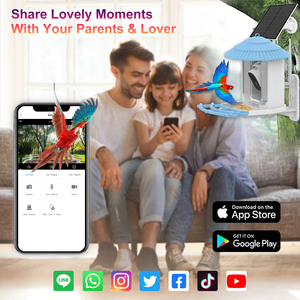 Ikevision กล้อง4MP สำหรับบ้านนก, แบตเตอรี่6เดือนไร้สาย4G วิสัยทัศน์กลางคืนปลุก PIR กันน้ำ NVR พลังงานแสงอาทิตย์สำหรับนก - Product Image 3