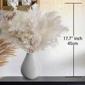 G25 Decoración para el Hogar, Ramo de Flores de Pampa Natural de 55 cm, Caja de Cartón de Larga Duración, Decoración para el Día de la Madre, Bodas, Pascua, Navidad - Product Image 4
