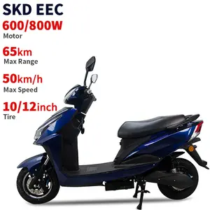 SKD CKD 10英寸12英寸600W 800W 40-50千米/h速度45-65千米范围eec 2轮电动自行车踏板车带踏板电动轻便摩托车