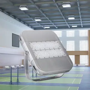 室外篮球场照明100w IP66防水发光二极管泛光灯，带MeanWell驱动器