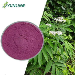 Prix <span class=keywords><strong>d</strong></span>épart usine pour la poudre <span class=keywords><strong>d</strong></span>'extrait de fruits en pulpe de bois naturelle pour la vente en gros de poudre de <span class=keywords><strong>jus</strong></span> de pulpe de bois - Product Image 1